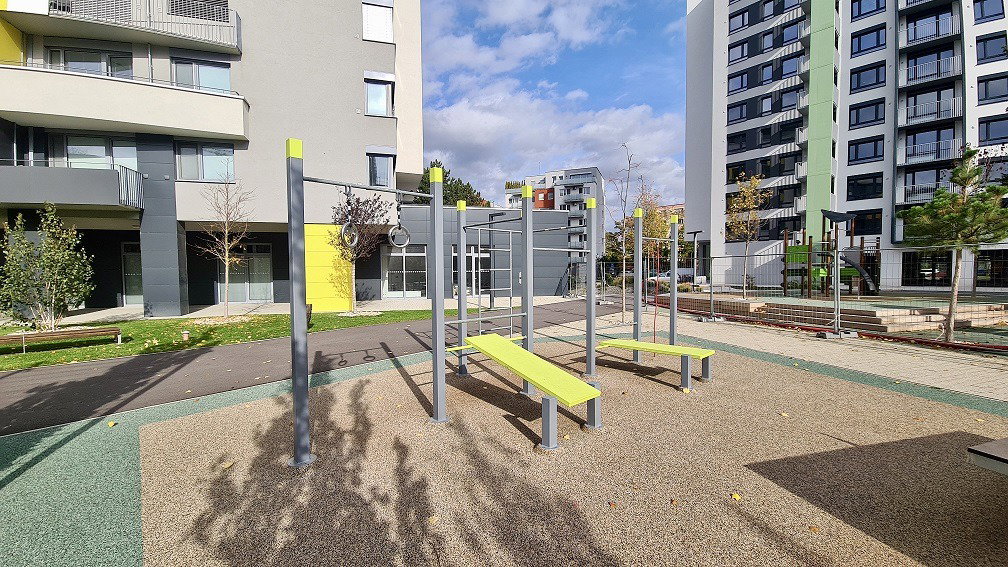 Streetworkout DSW4558
