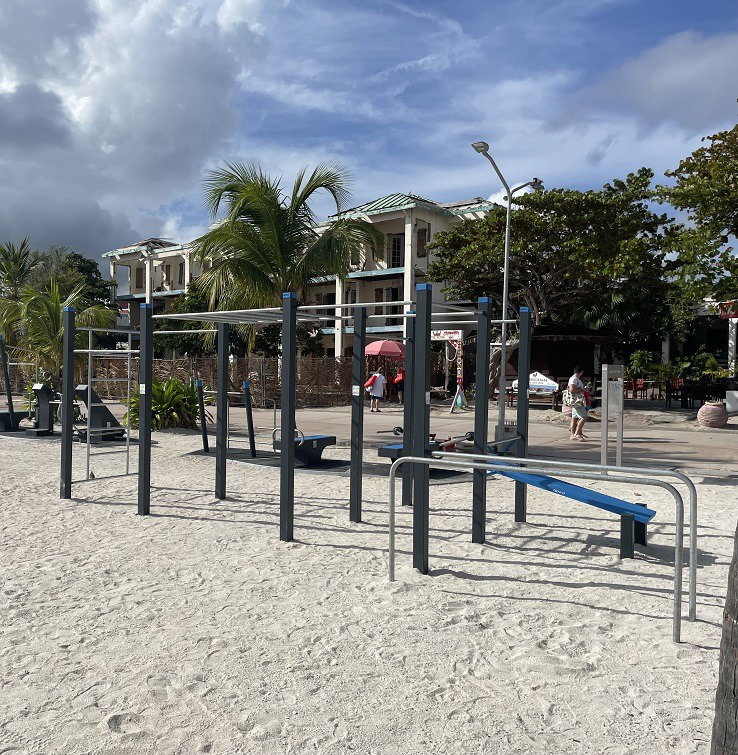 Streetworkout DSW4572