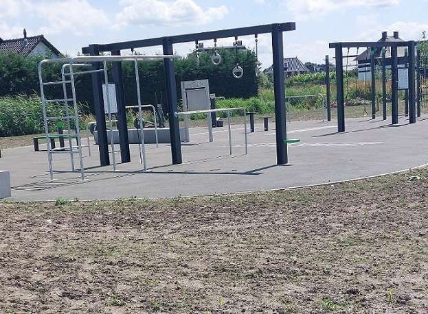 Crosstraining Pro 1 - Image 6