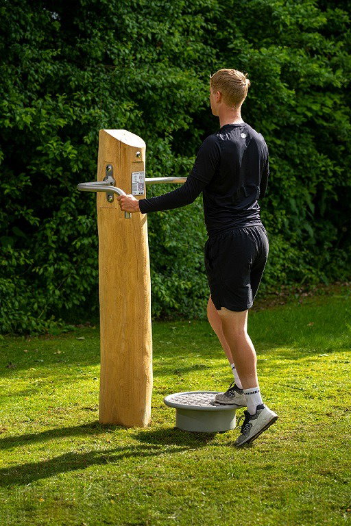 BalanceBoard - Image 3