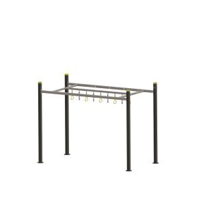 Ninja Warrior 